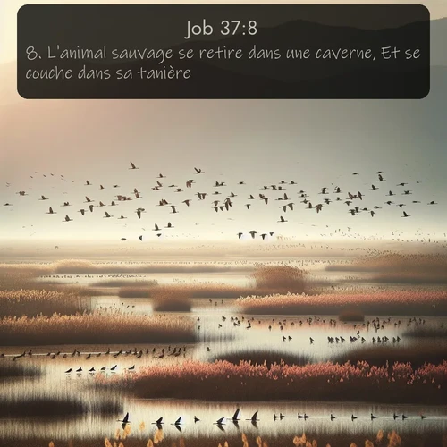 Segond Job  ; image nature: image avec le verset biblique :L&#039;animal sauvage se retire dans une caverne, Et se couche dans sa tanière. ;  ; 37:8
