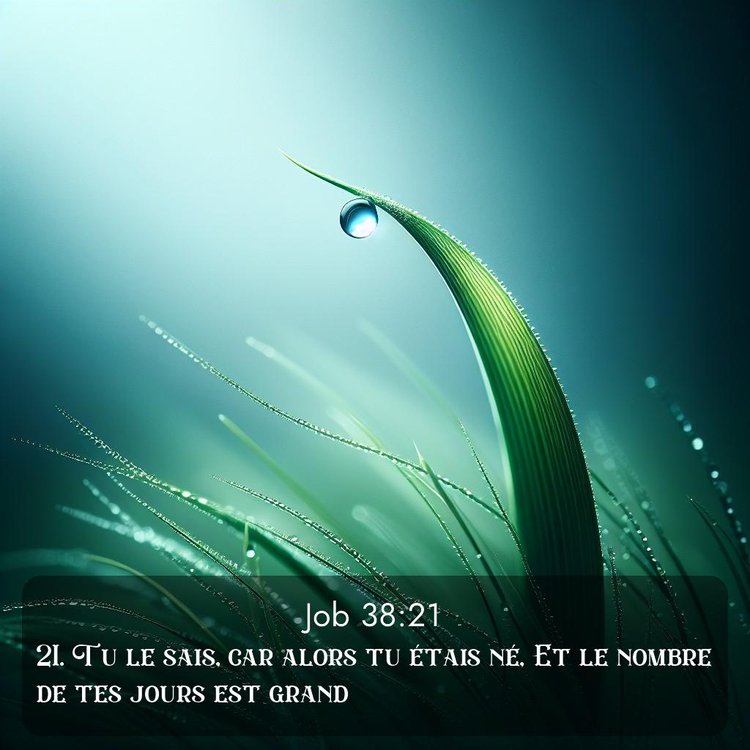 image nature avec verset biblique de la Bible