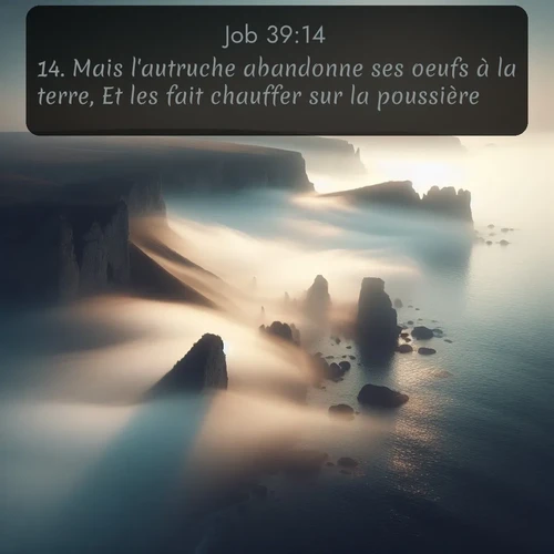 Segond Job  ; image nature: image avec le verset biblique :Mais l&#039;autruche abandonne ses oeufs à la terre, Et les fait chauffer sur la poussière; ;  ; 39:14