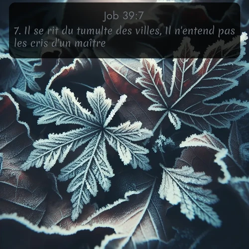 Segond Job  ; image nature: image avec le verset biblique :Il se rit du tumulte des villes, Il n&#039;entend pas les cris d&#039;un maître. ;  ; 39:7