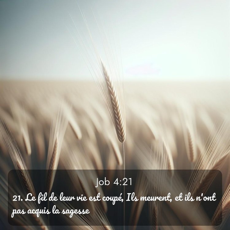 image nature avec verset biblique de la Bible