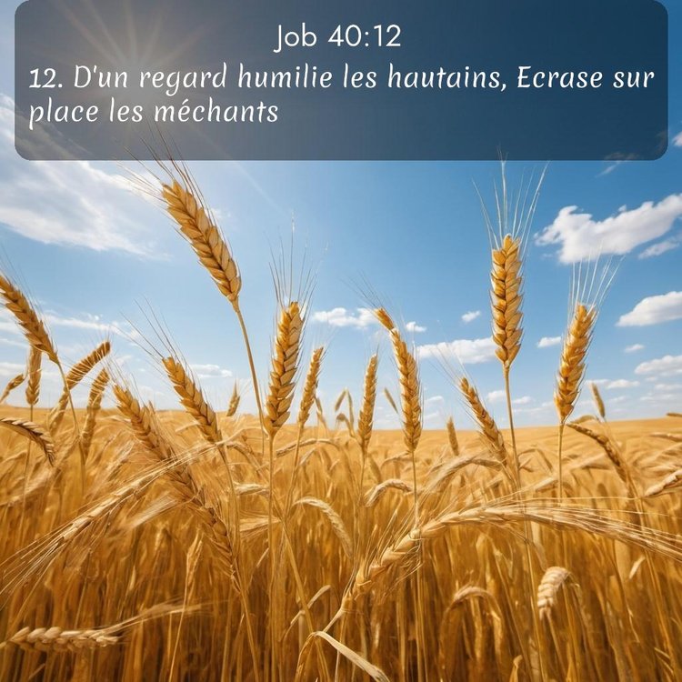 image nature avec verset biblique de la Bible