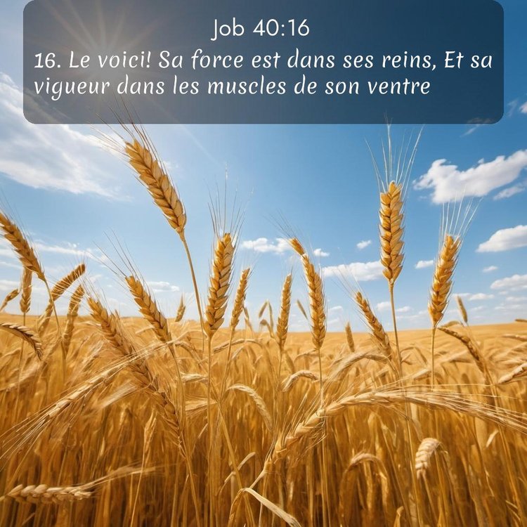 image nature avec verset biblique de la Bible