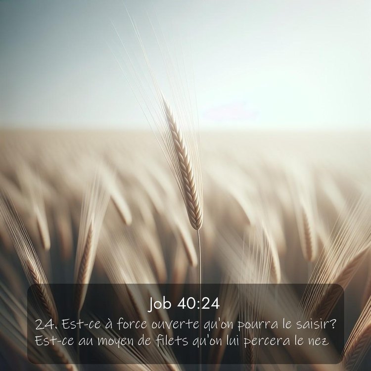 Segond Job 40:24