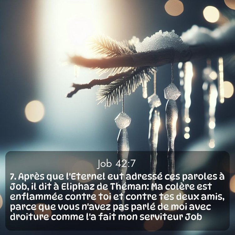 Segond Job 42:7