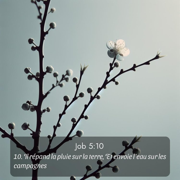 image nature avec verset biblique de la Bible