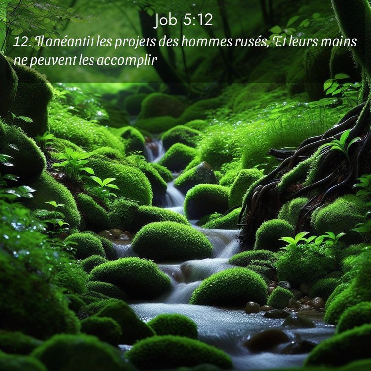 image nature avec verset biblique de la Bible