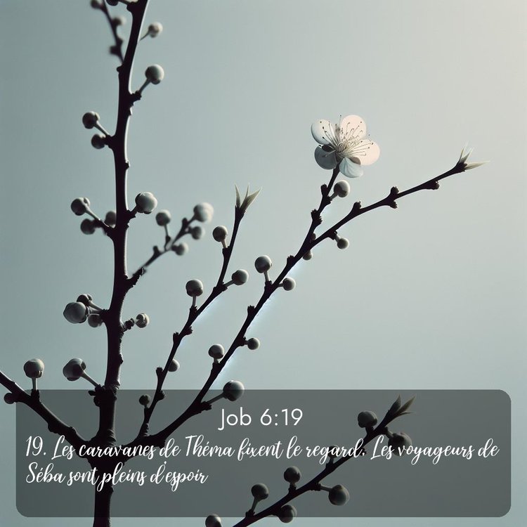 image nature avec verset biblique de la Bible
