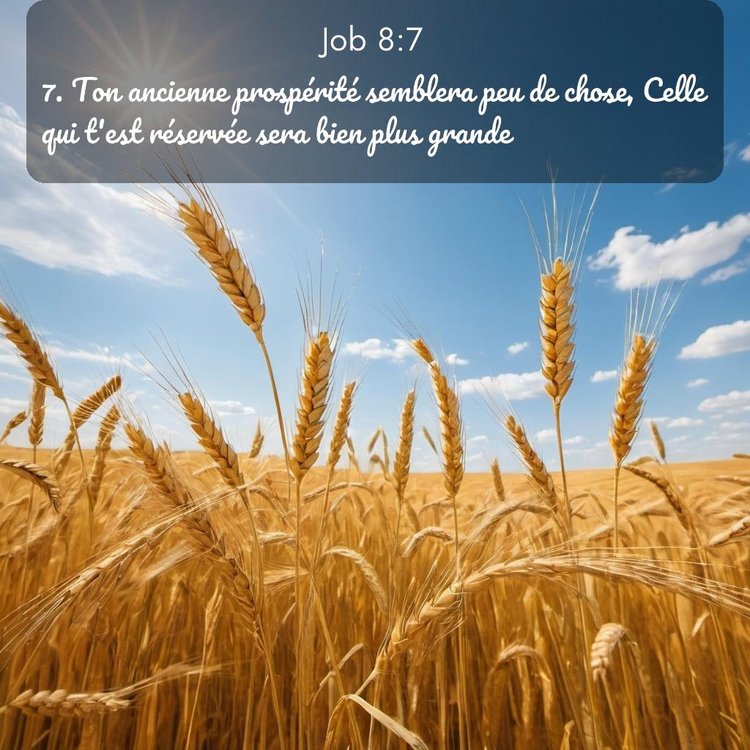 image nature avec verset biblique de la Bible
