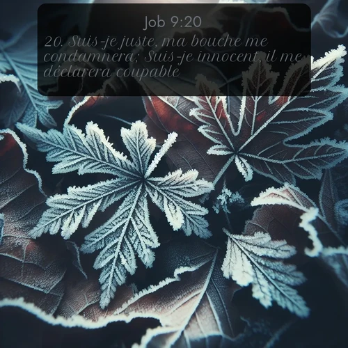 Segond Job  ; image nature: image avec le verset biblique :Suis-je juste, ma bouche me condamnera; Suis-je innocent, il me déclarera coupable. ;  ; 9:20