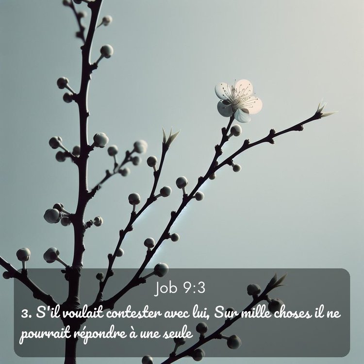 image nature avec verset biblique de la Bible