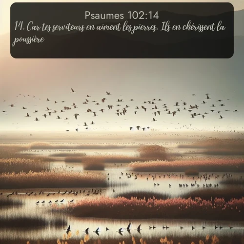 Segond Psaumes  ; image nature: image avec le verset biblique :Car tes serviteurs en aiment les pierres, Ils en chérissent la poussière. ;  ; 102:14