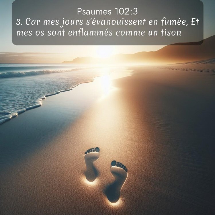 Segond Psaumes 102:3