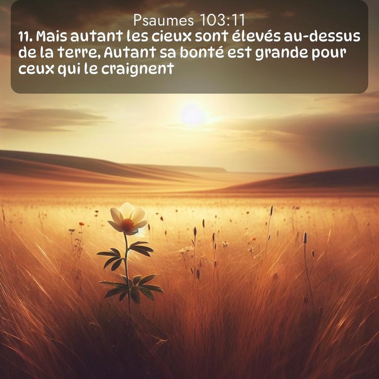 Segond Psaumes 103:11