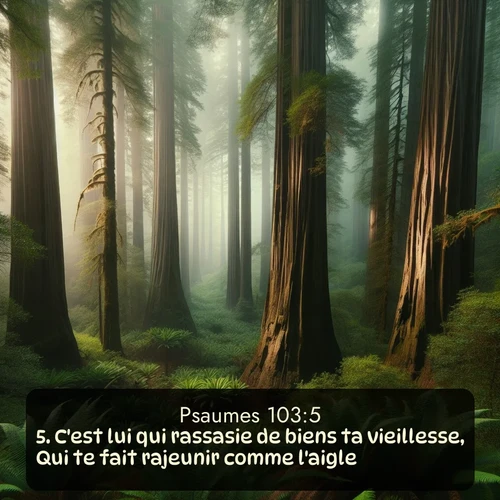 Segond Psaumes  ; image nature: image avec le verset biblique :C&#039;est lui qui rassasie de biens ta vieillesse, Qui te fait rajeunir comme l&#039;aigle. ;  ; 103:5