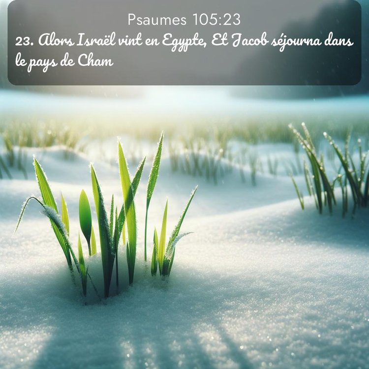 image nature avec verset biblique de la Bible