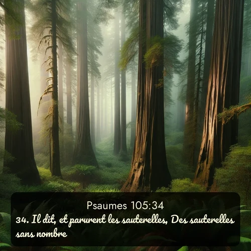 Segond Psaumes  ; image nature: image avec le verset biblique :Il dit, et parurent les sauterelles, Des sauterelles sans nombre, ;  ; 105:34