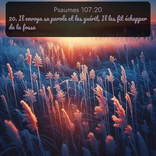 Segond Psaumes  ; image nature: image avec le verset biblique :Il envoya sa parole et les guérit, Il les fit échapper de la fosse. ;  ; 107:20