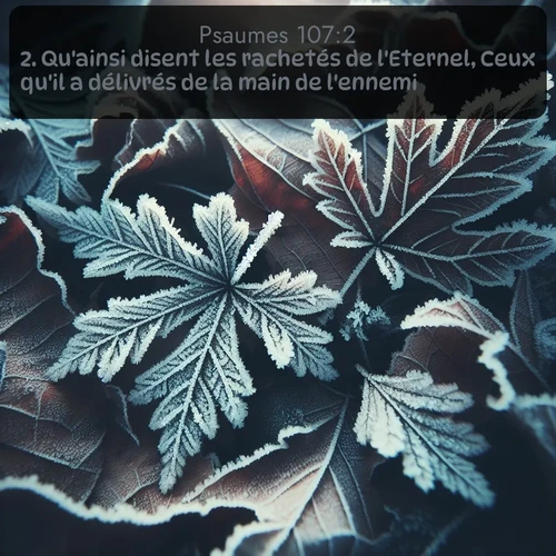 Segond Psaumes  ; image nature: image avec le verset biblique :Qu&#039;ainsi disent les rachetés de l&#039;Eternel, Ceux qu&#039;il a délivrés de la main de l&#039;ennemi, ;  ; 107:2