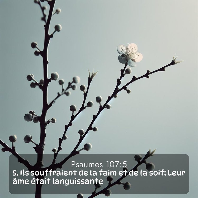 image nature avec verset biblique de la Bible