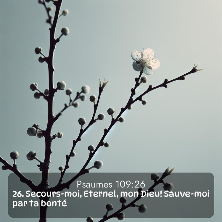image nature avec verset biblique de la Bible