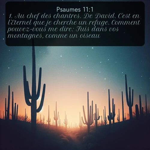 Segond Psaumes  ; image nature: image avec le verset biblique :Au chef des chantres. De David. C&#039;est en l&#039;Eternel que je cherche un refuge. Comment pouvez-vous me dire: Fuis dans vos montagnes, comme un oiseau? ;  ; 11:1