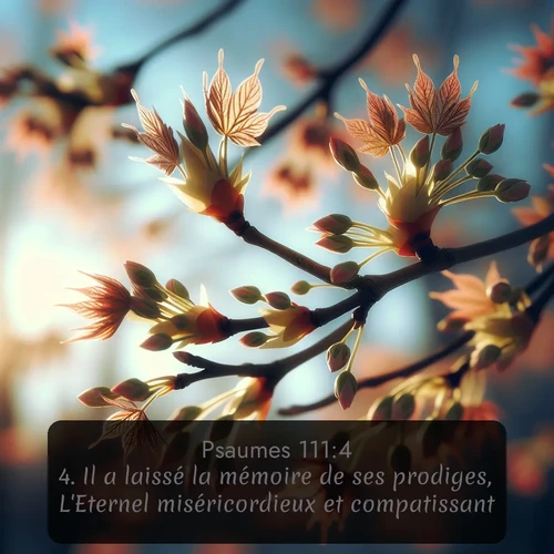 Segond Psaumes  ; image nature: image avec le verset biblique :Il a laissé la mémoire de ses prodiges, L&#039;Eternel miséricordieux et compatissant. ;  ; 111:4