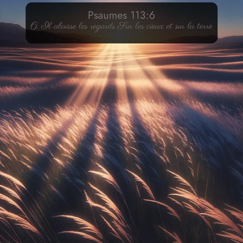 Segond Psaumes  ; image nature: image avec le verset biblique :Il abaisse les regards Sur les cieux et sur la terre. ;  ; 113:6