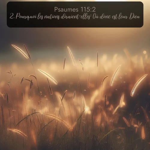 Segond Psaumes  ; image nature: image avec le verset biblique :Pourquoi les nations diraient-elles: Où donc est leur Dieu? ;  ; 115:2