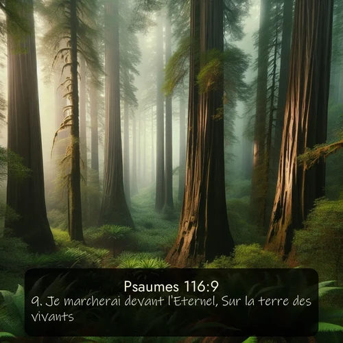 Segond Psaumes  ; image nature: image avec le verset biblique :Je marcherai devant l&#039;Eternel, Sur la terre des vivants. ;  ; 116:9