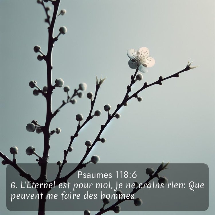 Segond Psaumes 118:6