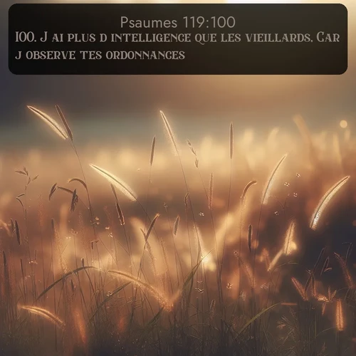 Segond Psaumes  ; image nature: image avec le verset biblique :J&#039;ai plus d&#039;intelligence que les vieillards, Car j&#039;observe tes ordonnances. ;  ; 119:100