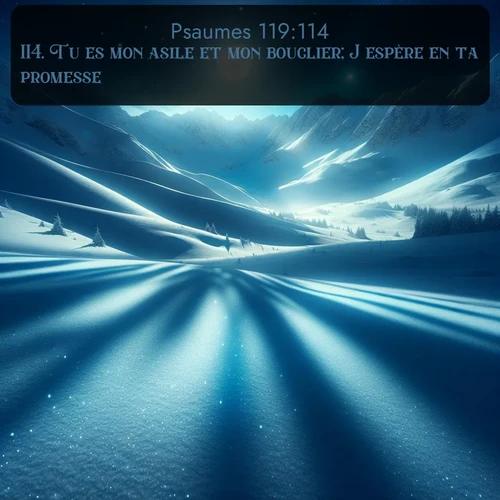 Segond Psaumes  ; image nature: image avec le verset biblique :Tu es mon asile et mon bouclier; J&#039;espère en ta promesse. ;  ; 119:114