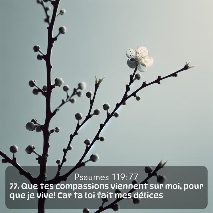 Segond Psaumes 119:77