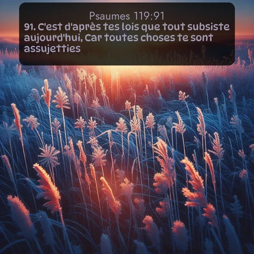 Segond Psaumes  ; image nature: image avec le verset biblique :C&#039;est d&#039;après tes lois que tout subsiste aujourd&#039;hui, Car toutes choses te sont assujetties. ;  ; 119:91