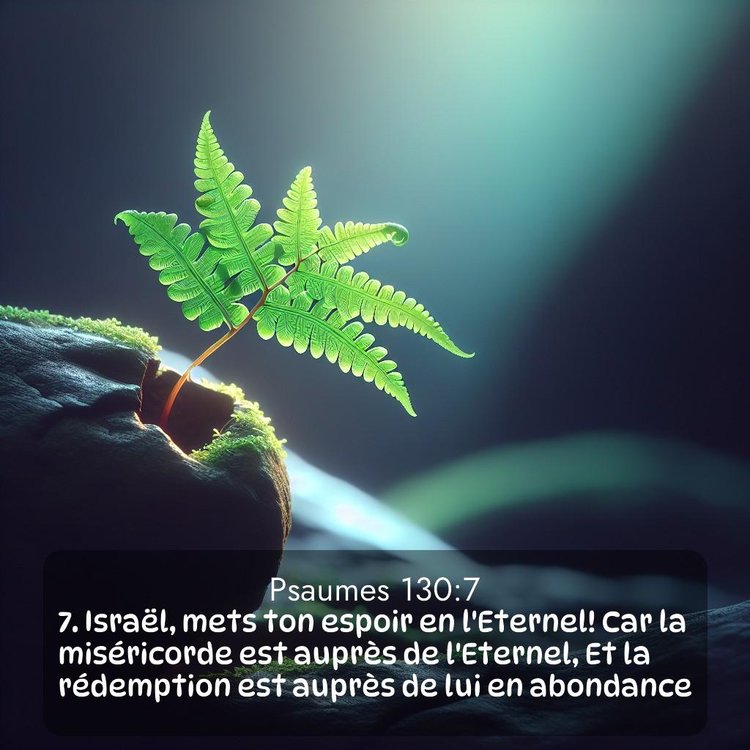 Segond Psaumes 130:7