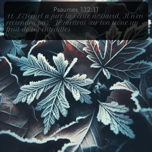 Segond Psaumes  ; image nature: image avec le verset biblique :L&#039;Eternel a juré la vérité à David, Il n&#039;en reviendra pas; Je mettrai sur ton trône un fruit de tes entrailles. ;  ; 132:11