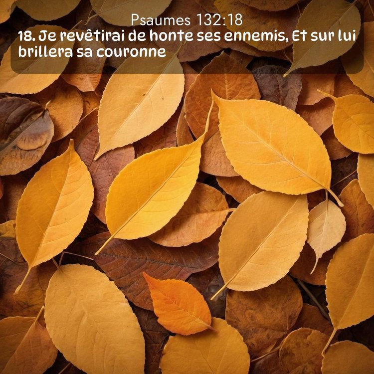 Segond Psaumes 132:18