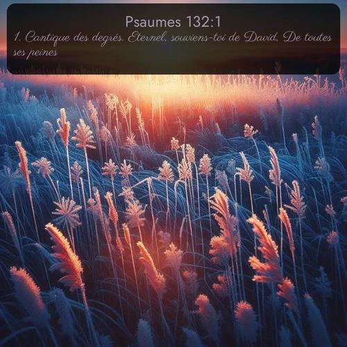 Segond Psaumes  ; image nature: image avec le verset biblique :Cantique des degrés. Eternel, souviens-toi de David, De toutes ses peines! ;  ; 132:1