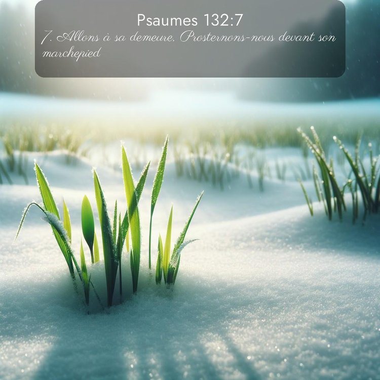 Segond Psaumes 132:7