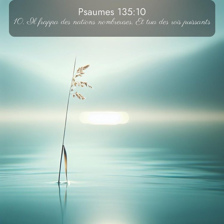 Segond Psaumes 135:10