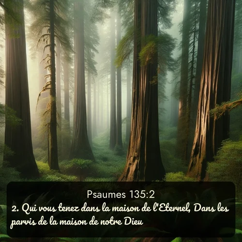 Segond Psaumes  ; image nature: image avec le verset biblique :Qui vous tenez dans la maison de l&#039;Eternel, Dans les parvis de la maison de notre Dieu! ;  ; 135:2