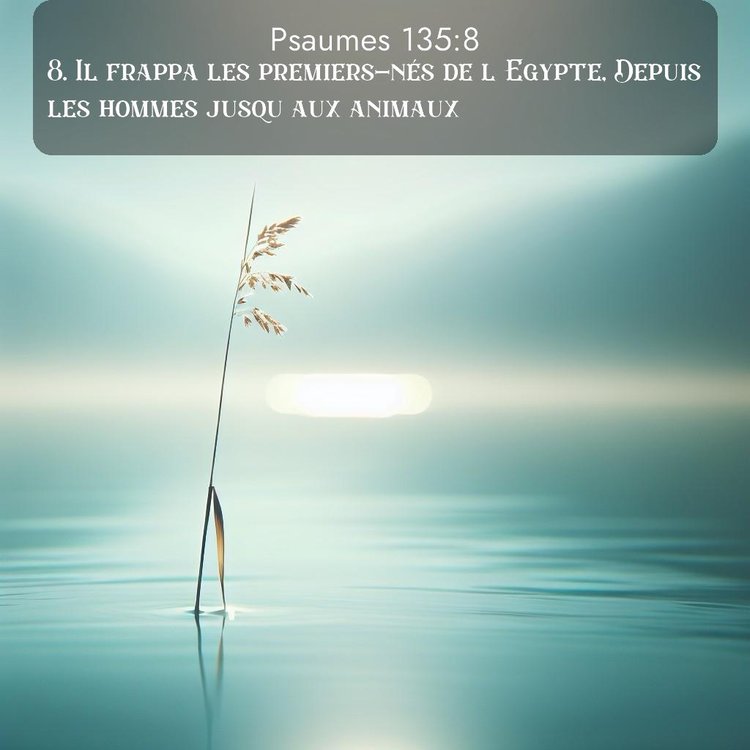 Segond Psaumes 135:8