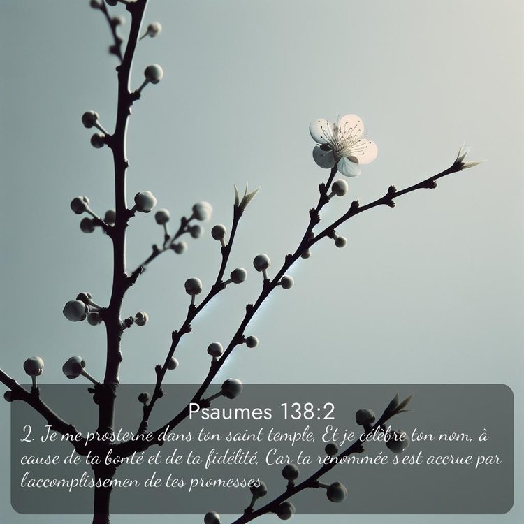 image nature avec verset biblique de la Bible
