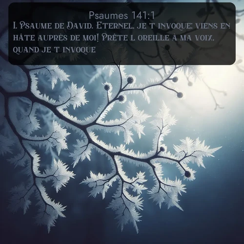 Segond Psaumes  ; image nature: image avec le verset biblique :Psaume de David. Eternel, je t&#039;invoque: viens en hâte auprès de moi! Prête l&#039;oreille à ma voix, quand je t&#039;invoque! ;  ; 141:1