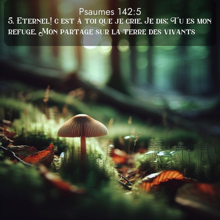 image nature avec verset biblique de la Bible