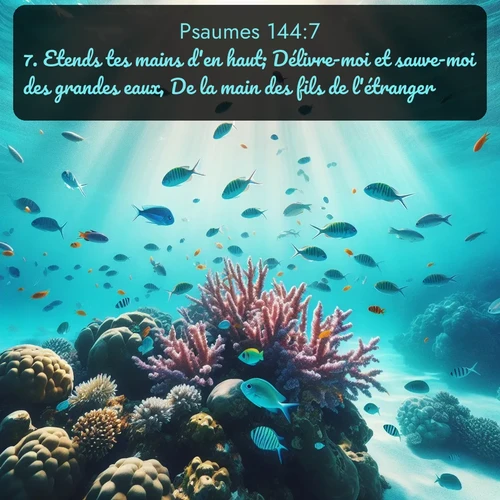 Segond Psaumes  ; image nature: image avec le verset biblique :Etends tes mains d&#039;en haut; Délivre-moi et sauve-moi des grandes eaux, De la main des fils de l&#039;étranger, ;  ; 144:7
