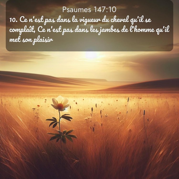 Segond Psaumes 147:10