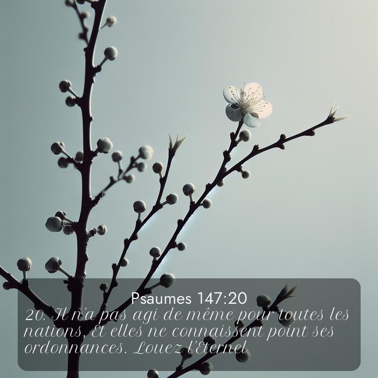 image nature avec verset biblique de la Bible