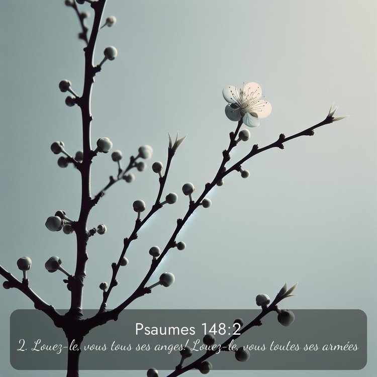 image nature avec verset biblique de la Bible